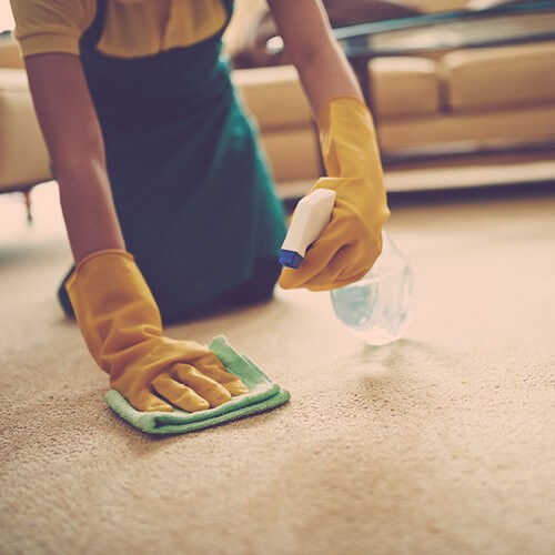 Carpet cleaning | Magic Carpets