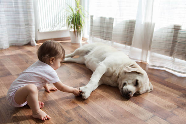 Kid with dog | Magic Carpets
